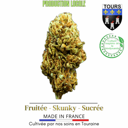 Tourangelle Fleurs CBD, CBD Tours, Fleurs CBD Tours