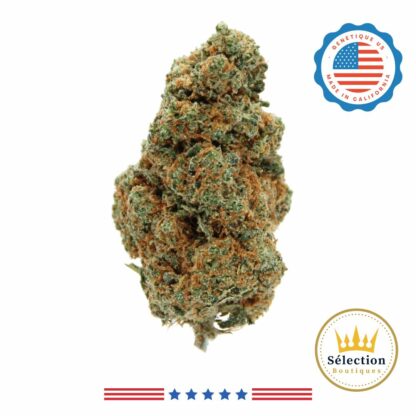 Bruce Banner CBD, Fleurs CBD, Fleurs CBD américaine