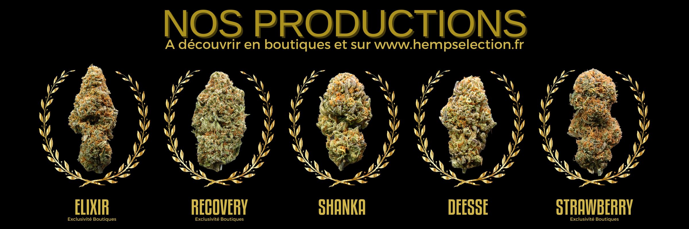 CBD made in France