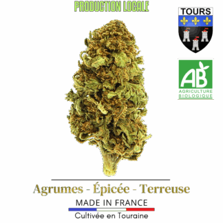 Fleurs CBD, Fleur CBD, Fleur CBD biologique, Fleur CBD Française, Fleur CBD Premium, Harlequin Fleurs CBD premium 100 Gr, Fleur CBD 100 Gr, Fleur CBD 100 Grammes