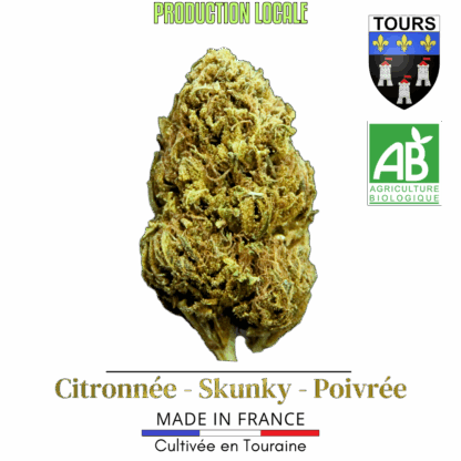 Lemon Skunk