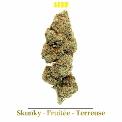 Dosidos Fleurs CBD, CBD Tours, Fleurs CBD Tours