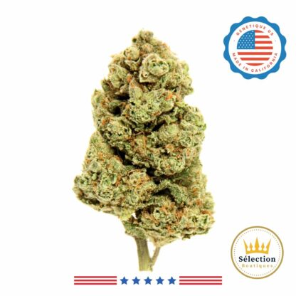 Ghost Confidential CBD