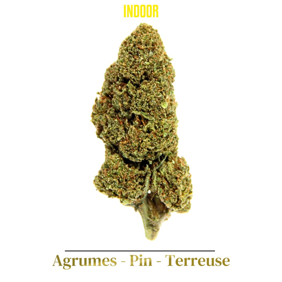 CBD Tours, Fleurs CBD Tours