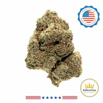 Jack Herrer CBD