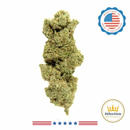 Watermelon CBD