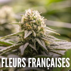 Fleurs CBD françaises