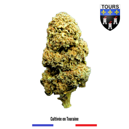 Harlequin 37 Fleurs CBD