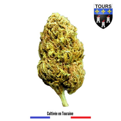 Lemon Skunk 37 Fleurs CBD