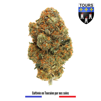 Shanka 37 Fleurs CBD