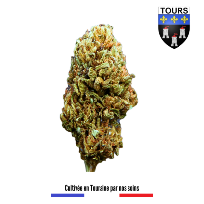 Tourangelle Fleurs CBD