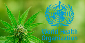 statut légal du CBD