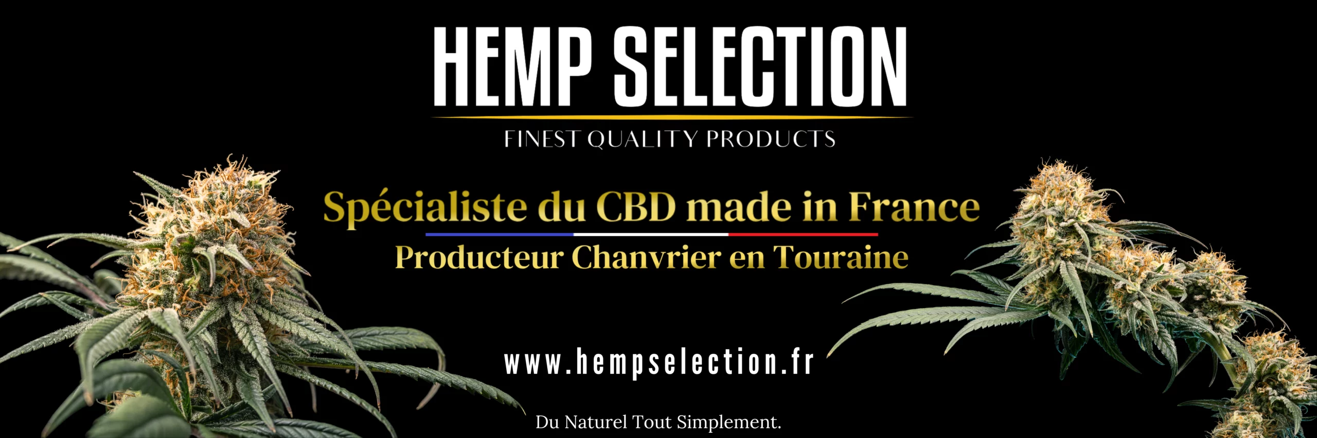 Producteur CBD